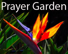 Prayer Garden gallery